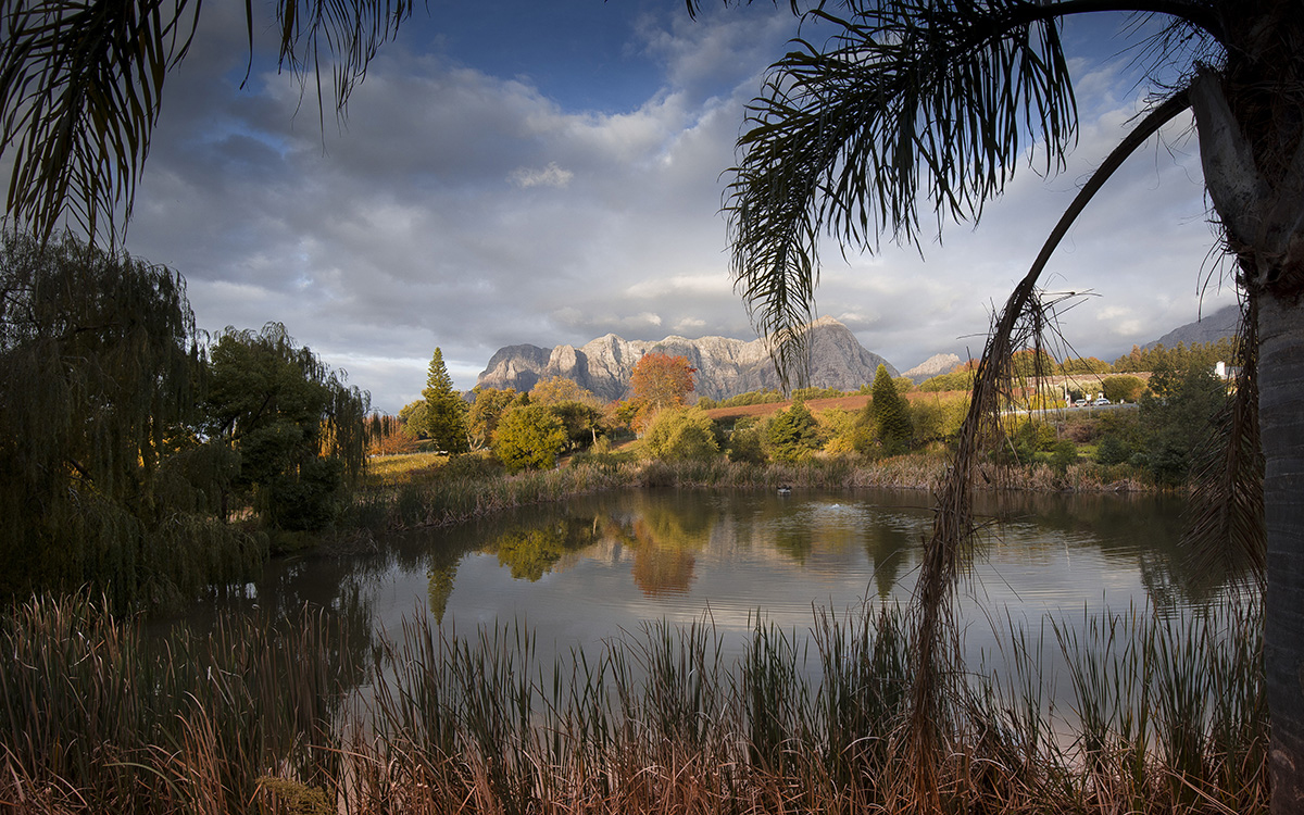 Landscape 22